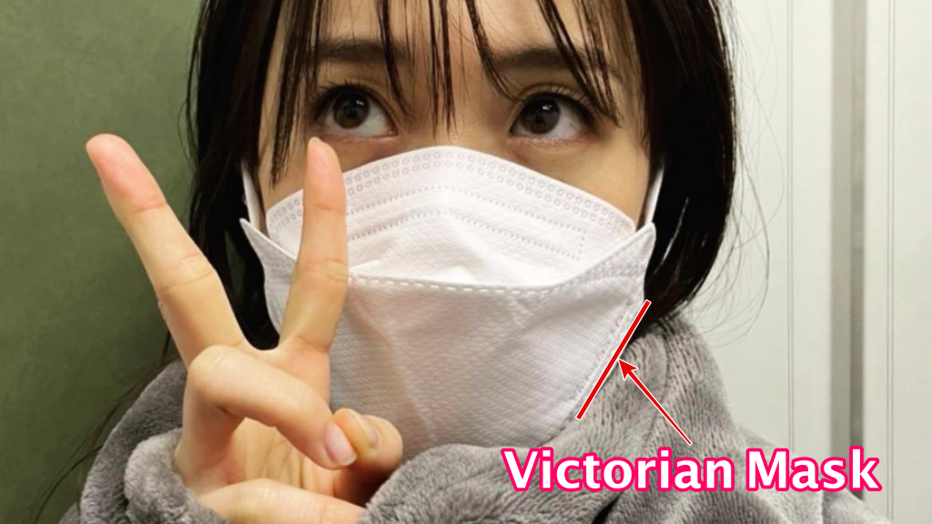 大島優子着用Victorian Maskの画像